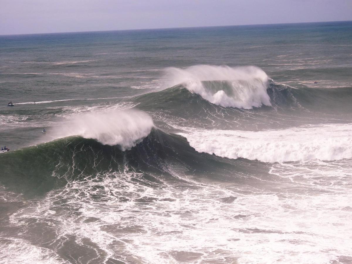 White Swell By Sitio Da Nazare Lejlighed Eksteriør billede