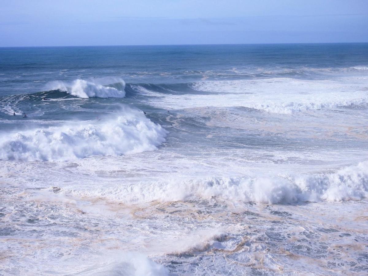 White Swell By Sitio Da Nazare Lejlighed Eksteriør billede