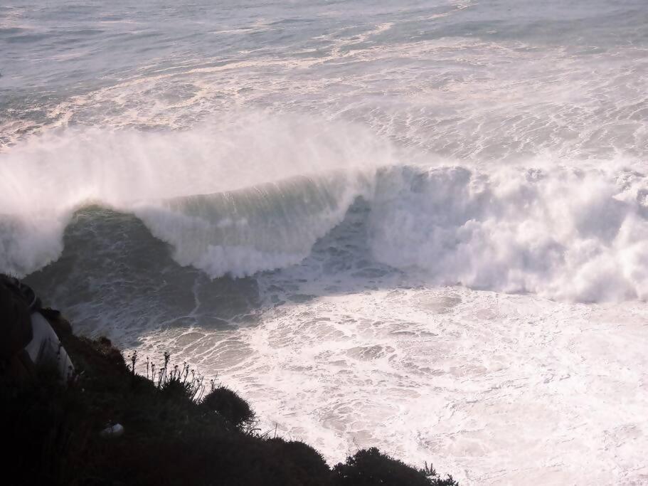 White Swell By Sitio Da Nazare Lejlighed Eksteriør billede